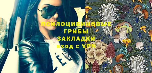 дурь Алексеевка