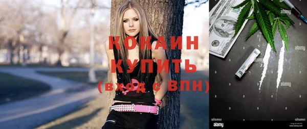дурь Алексеевка