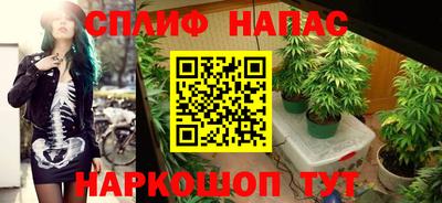 молекула духа Ачхой-Мартан