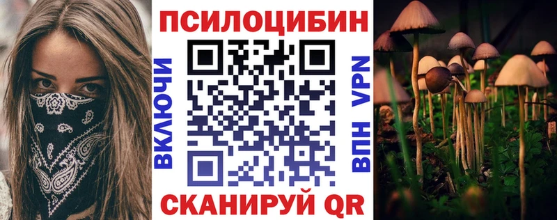 купить наркоту  Благодарный  Псилоцибиновые грибы прущие грибы 