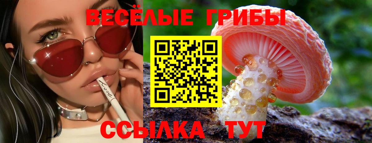Галлюциногенные грибы Psilocybe Благодарный